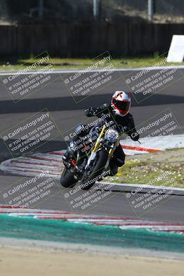 media/Mar-17-2024-Fastrack Riders (Sun) [[c7d6f8c14c]]/Level 2/Turn 6/